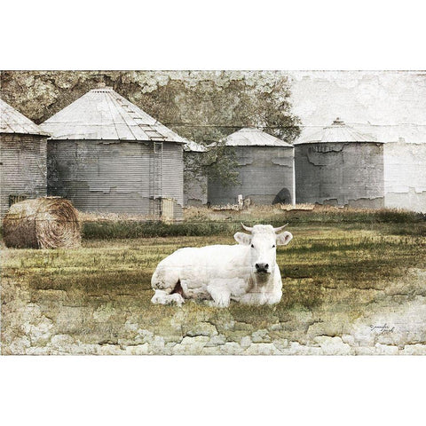 White Cow Black Modern Wood Framed Art Print with Double Matting by Pugh, Jennifer