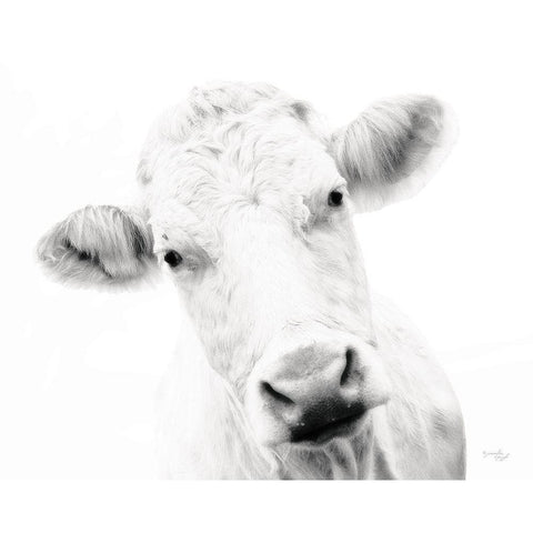 Cow IV White Modern Wood Framed Art Print by Pugh, Jennifer