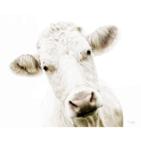 Cow V White Modern Wood Framed Art Print by Pugh, Jennifer
