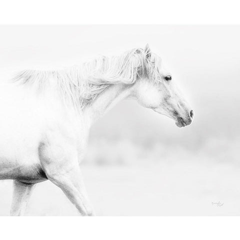 Horse White Modern Wood Framed Art Print by Pugh, Jennifer