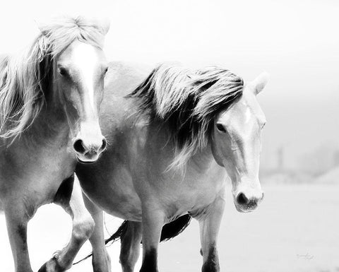 Horse II White Modern Wood Framed Art Print with Double Matting by Pugh, Jennifer
