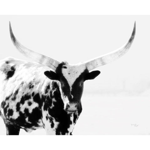 Longhorn II White Modern Wood Framed Art Print by Pugh, Jennifer