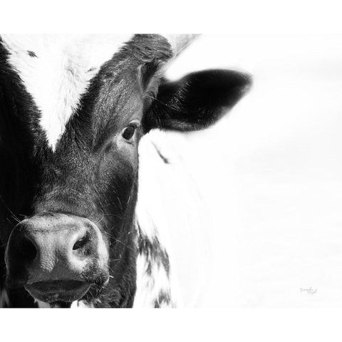 Cow VI Black Modern Wood Framed Art Print by Pugh, Jennifer