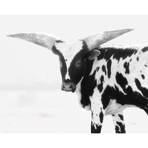 Longhorn III Black Modern Wood Framed Art Print with Double Matting by Pugh, Jennifer