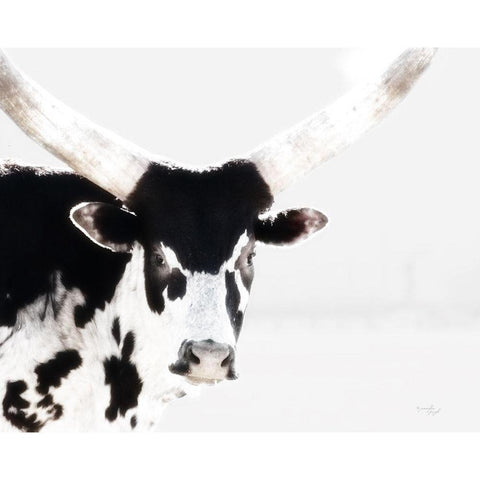 Longhorn IV White Modern Wood Framed Art Print by Pugh, Jennifer