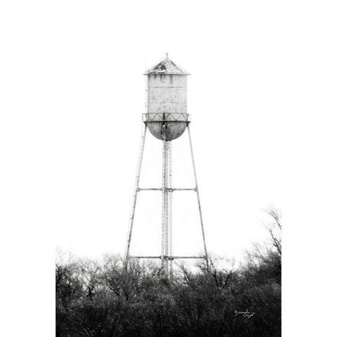 Water Tower Black Modern Wood Framed Art Print with Double Matting by Pugh, Jennifer