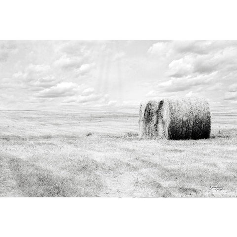 Hay Bales Black Modern Wood Framed Art Print with Double Matting by Pugh, Jennifer