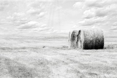 Hay Bales White Modern Wood Framed Art Print with Double Matting by Pugh, Jennifer