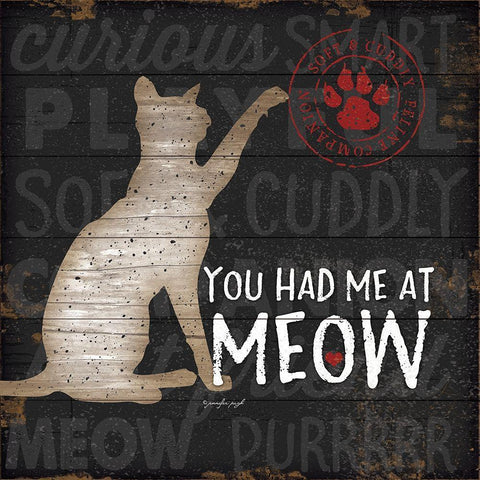 You Had Me at Meow White Modern Wood Framed Art Print with Double Matting by Pugh, Jennifer