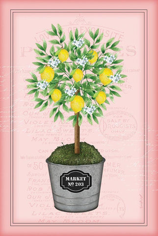 Lemon Topiary - Pink Black Ornate Wood Framed Art Print with Double Matting by Pugh, Jennifer