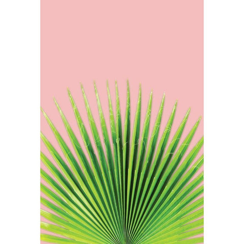 Pink Palm I Black Modern Wood Framed Art Print with Double Matting by Pugh, Jennifer