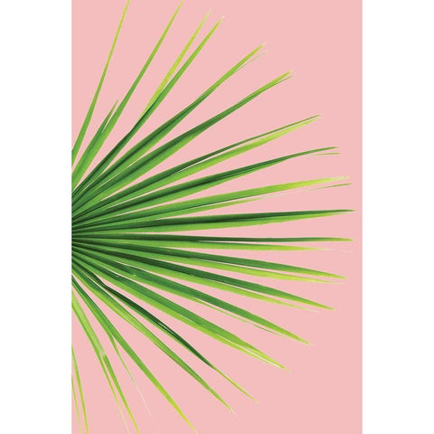 Pink Palm III Black Modern Wood Framed Art Print with Double Matting by Pugh, Jennifer