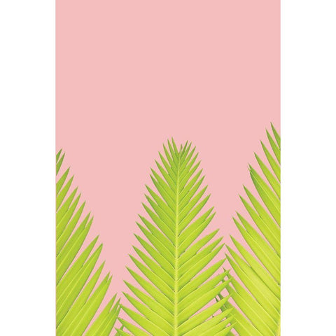 Pink Palm IV White Modern Wood Framed Art Print by Pugh, Jennifer