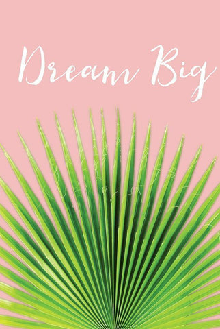 Dream Big White Modern Wood Framed Art Print with Double Matting by Pugh, Jennifer