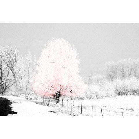 Pink Tree Black Modern Wood Framed Art Print by Pugh, Jennifer