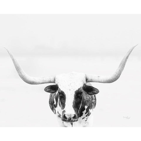 Longhorn Black Modern Wood Framed Art Print with Double Matting by Pugh, Jennifer