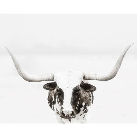 Longhorn Black Modern Wood Framed Art Print with Double Matting by Pugh, Jennifer