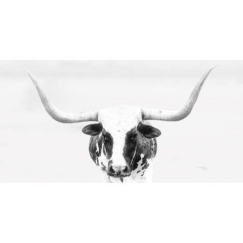 Longhorn White Modern Wood Framed Art Print by Pugh, Jennifer