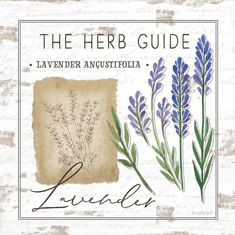 Herb Guide - Lavender White Modern Wood Framed Art Print by Pugh, Jennifer