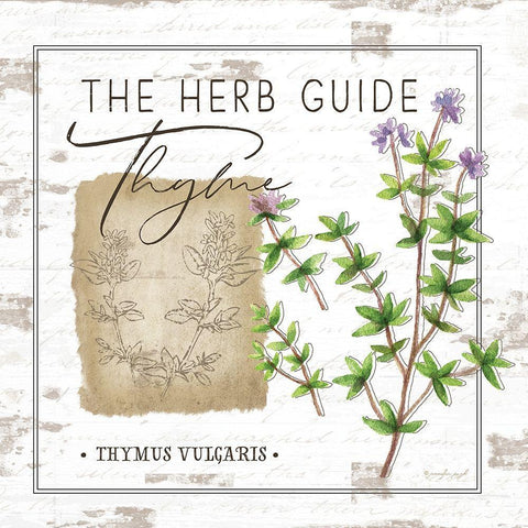 Herb Guide - Thyme Black Ornate Wood Framed Art Print with Double Matting by Pugh, Jennifer
