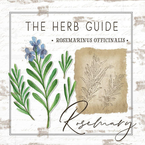 Herb Guide - Rosemary Gold Ornate Wood Framed Art Print with Double Matting by Pugh, Jennifer