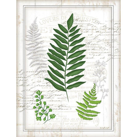 Ferns II Black Modern Wood Framed Art Print with Double Matting by Pugh, Jennifer