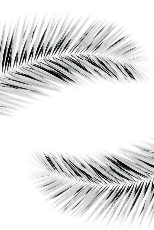 Image Only