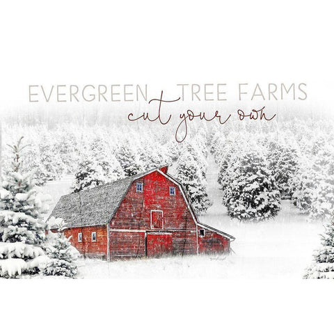 Evergreen Tree Farm Black Modern Wood Framed Art Print with Double Matting by Pugh, Jennifer