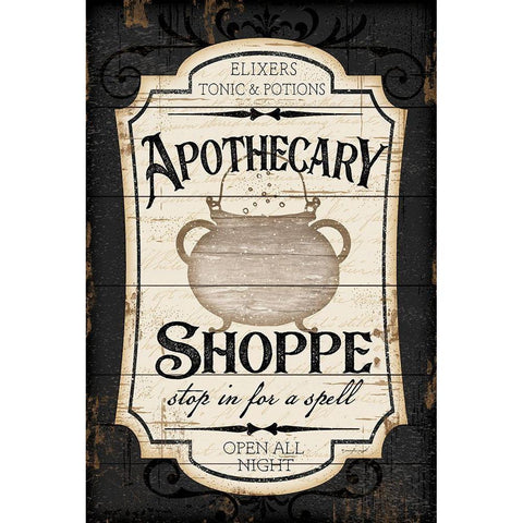 Apothecary Shoppe Black Modern Wood Framed Art Print with Double Matting by Pugh, Jennifer