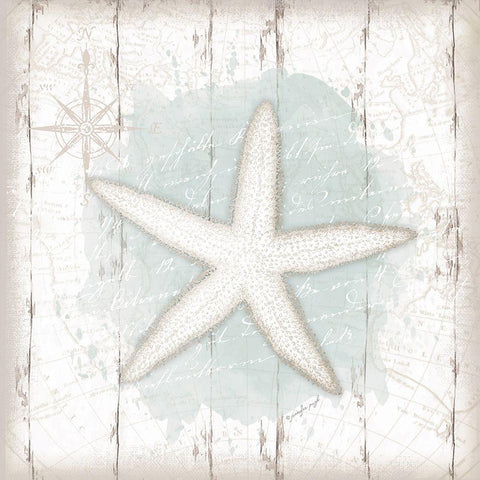 Calming Coastal Starfish White Modern Wood Framed Art Print by Pugh, Jennifer