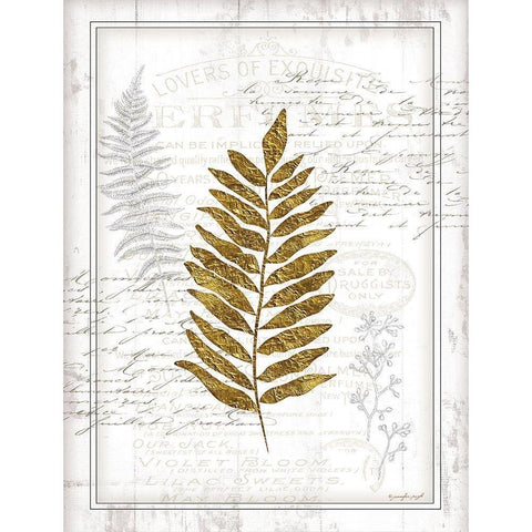 Ferns Black Modern Wood Framed Art Print with Double Matting by Pugh, Jennifer