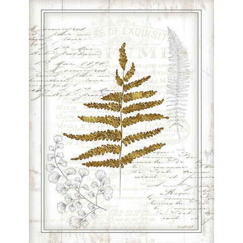 Ferns II Black Modern Wood Framed Art Print with Double Matting by Pugh, Jennifer