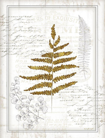 Ferns II Black Ornate Wood Framed Art Print with Double Matting by Pugh, Jennifer