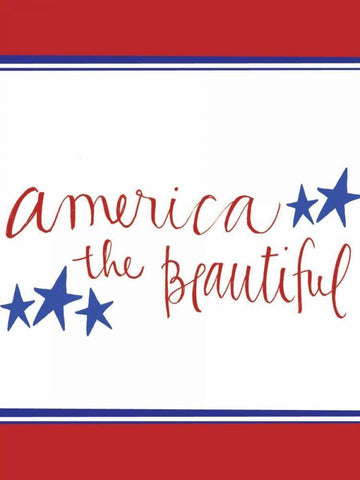 America the Beautiful White Modern Wood Framed Art Print with Double Matting by Doucette, Katie