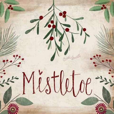 Mistletoe White Modern Wood Framed Art Print with Double Matting by Doucette, Katie