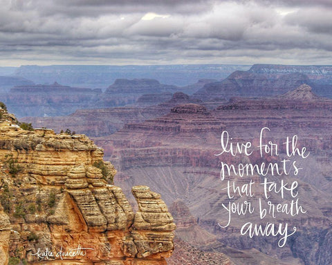 Grand Canyon II Black Ornate Wood Framed Art Print with Double Matting by Doucette, Katie