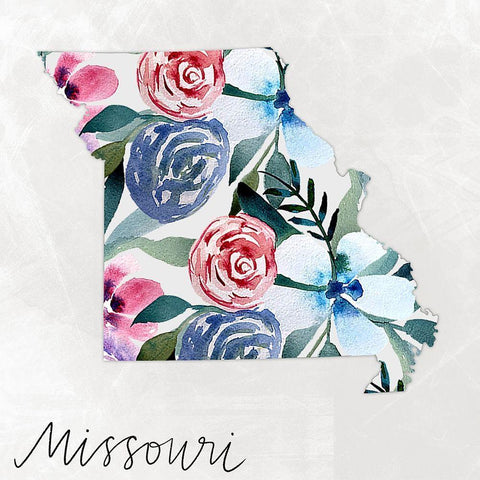 Missouri White Modern Wood Framed Art Print with Double Matting by Doucette, Katie