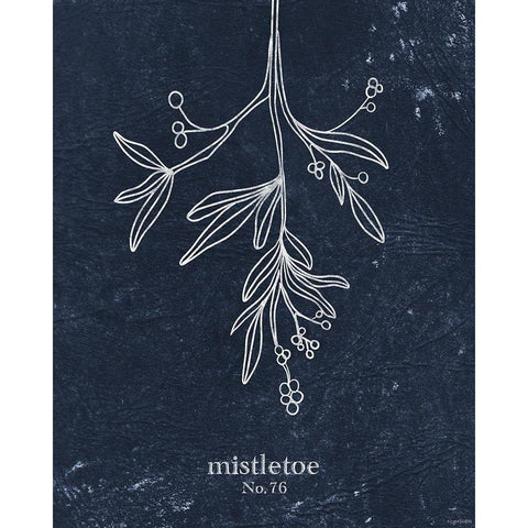 Denim Mistletoe Black Modern Wood Framed Art Print with Double Matting by Brown, Kyra