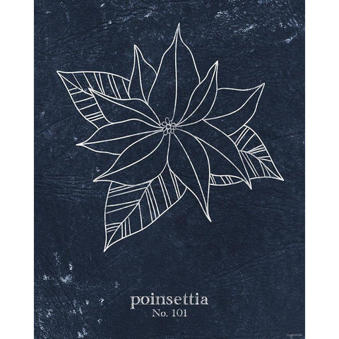 Denim Poinsettia Black Modern Wood Framed Art Print with Double Matting by Brown, Kyra