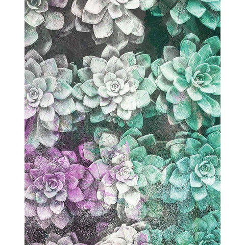 Colored Succulents Black Modern Wood Framed Art Print by Brown, Kyra