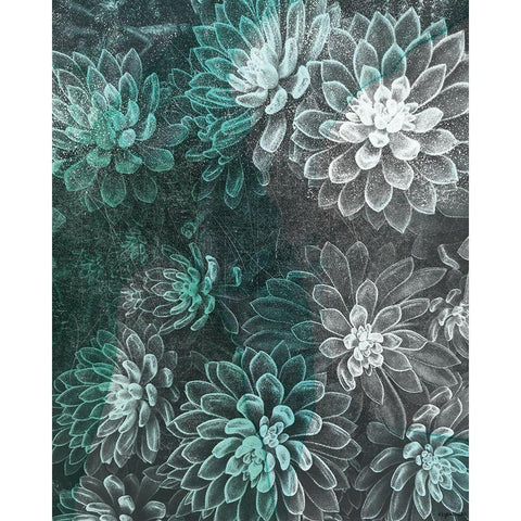 Colored Succulents II White Modern Wood Framed Art Print by Brown, Kyra