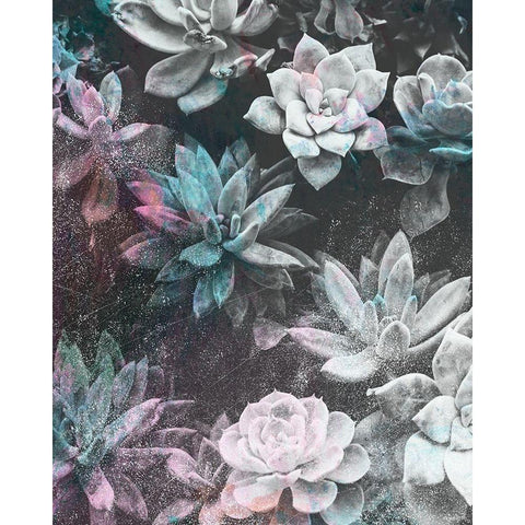 Colored Succulents III Black Modern Wood Framed Art Print with Double Matting by Brown, Kyra