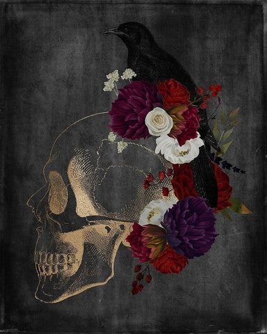 Skull Raven White Modern Wood Framed Art Print with Double Matting by Brown, Kyra
