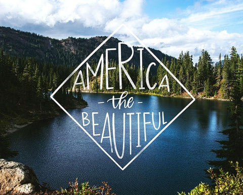 America the Beautiful Black Ornate Wood Framed Art Print with Double Matting by Brown, Kyra