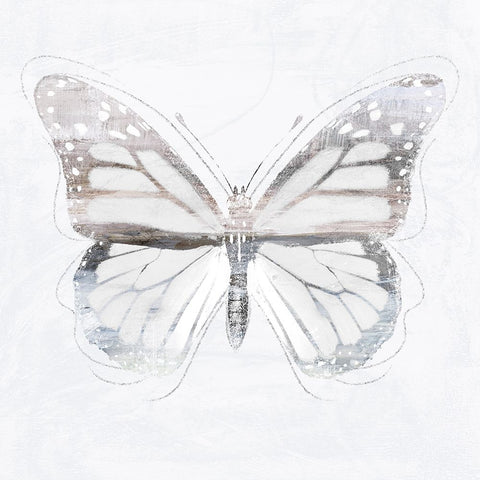 Silver Butterfly II Black Ornate Wood Framed Art Print with Double Matting by Blue, Nina