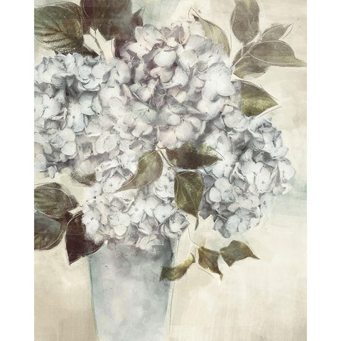 Hydrangea II Black Modern Wood Framed Art Print with Double Matting by Blue, Nina