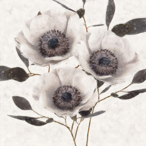 Fable Anemone Black Modern Wood Framed Art Print by Blue, Nina