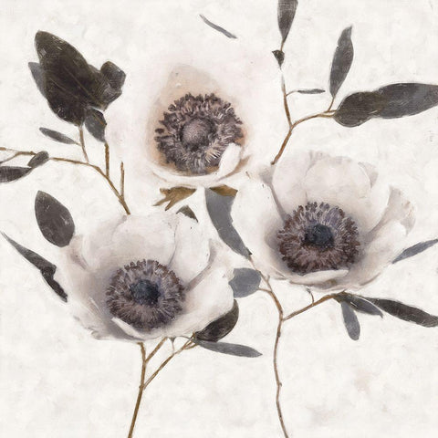 Fable Anemone II Gold Ornate Wood Framed Art Print with Double Matting by Blue, Nina