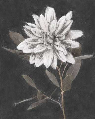 Fable Lotus  Black Ornate Wood Framed Art Print with Double Matting by Blue, Nina