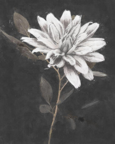 Fable Lotus 2 White Modern Wood Framed Art Print with Double Matting by Blue, Nina